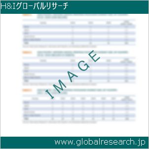 グローバルリサーチ調査レポートのイメージ